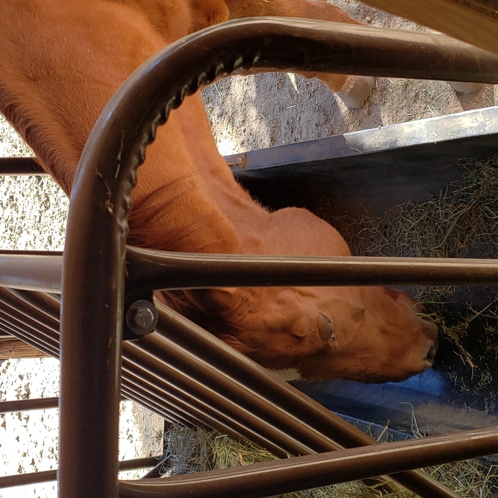 Meet your Posher, Brandi